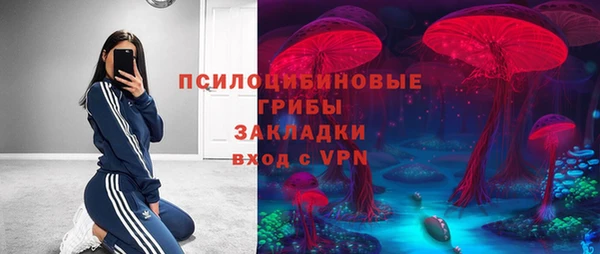 дживик Михайлов
