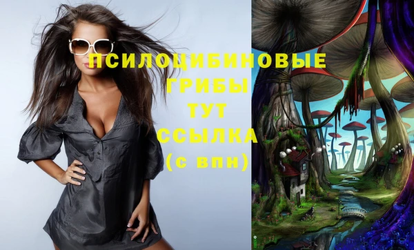 винт Михайловск