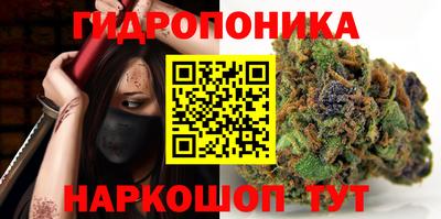 амф Гусь-Хрустальный