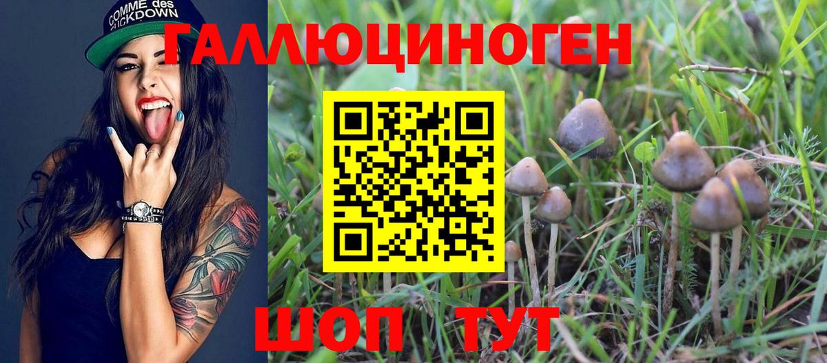 Галлюциногенные грибы ЛСД Ижевск