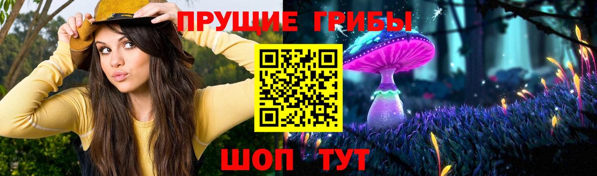 Псилоцибиновые грибы Magic Shrooms Ижевск